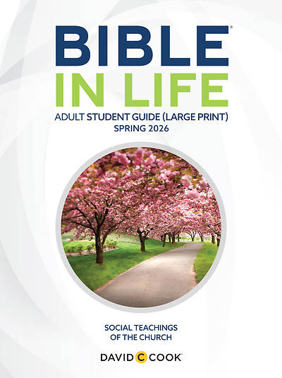 Picture of Bible in Life Adult Student Book Large Print Spring
