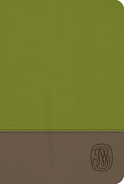 NRSV Wesley Study Bible