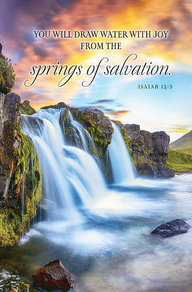 Picture of You Will Draw Water with Joy Regular Size Bulletin