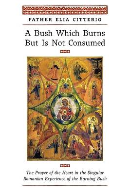 A Bush Which Burns But Is Not Consumed