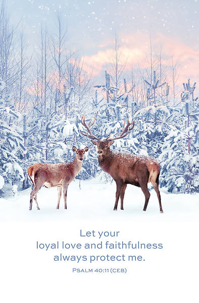 Picture of Word Alive! Weekly Bulletin with Message-Week 3, Letter Size (Package of 25)