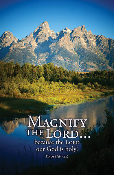 Picture of Word Alive! Weekly Bulletin with Message-Week 7, Letter Size (Package of 25)