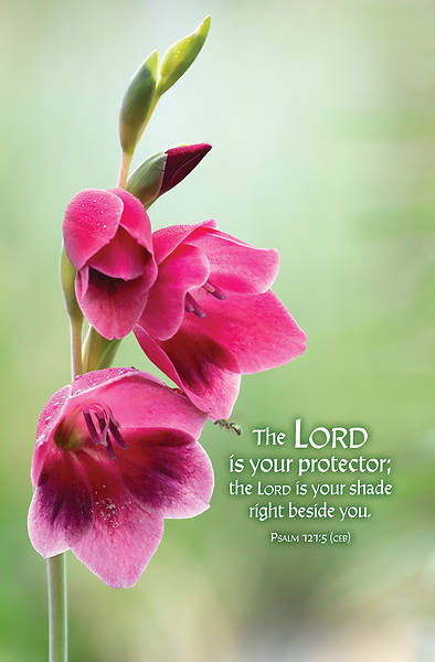 Picture of Word Alive! Weekly Bulletin with Message-Week 9, Letter Size (Package of 25)