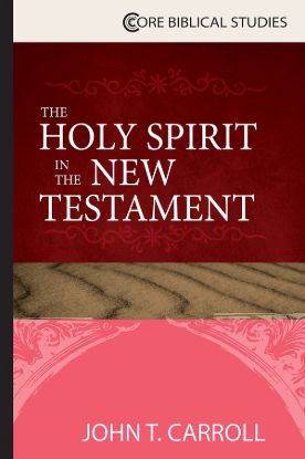 Picture of The Holy Spirit in the New Testament