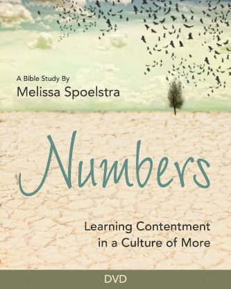 Picture of Numbers Women's Bible Study Streaming Video