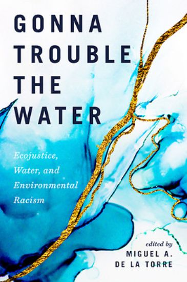 Picture of Gonna Trouble the Water - eBook [ePub]