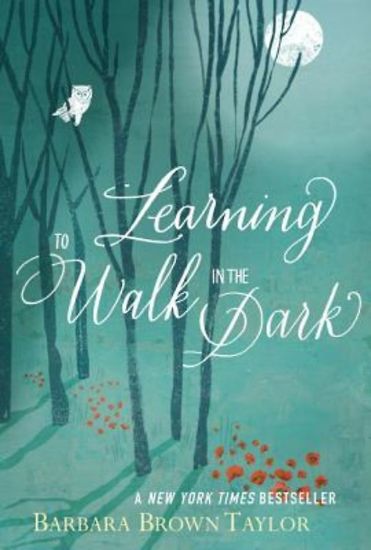 Picture of Learning to Walk in the Dark - eBook [ePub]