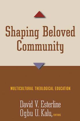 Picture of Shaping Beloved Community