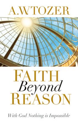Picture of Faith Beyond Reason