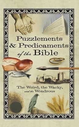 Picture of Puzzlements & Predicaments of the Bible