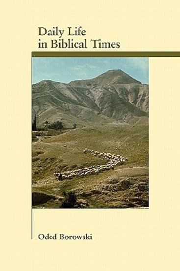 Picture of Daily Life in Biblical Times