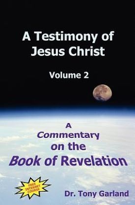 Picture of A Testimony of Jesus Christ - Volume 2