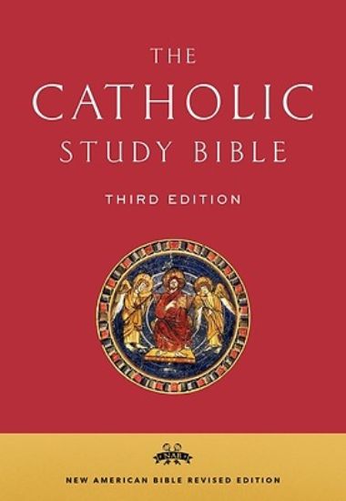 Picture of Catholic Study Bible-Nab