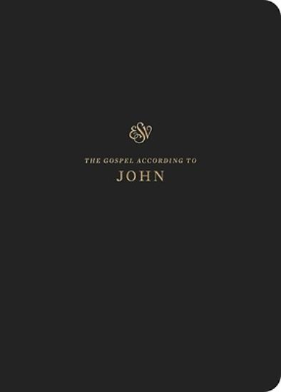 Picture of ESV Scripture Journal