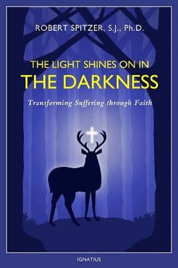 Picture of The Light Shines on in the Darkness