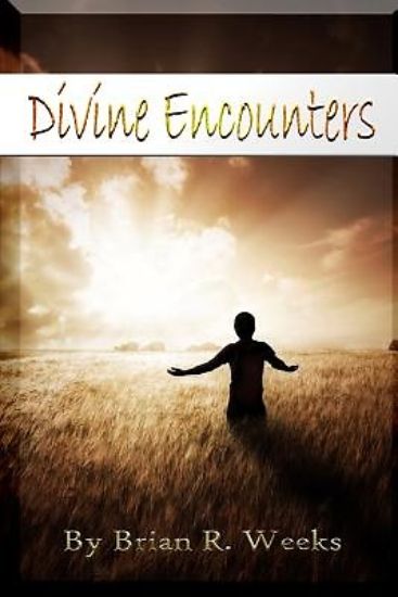 Picture of Divine Encounters