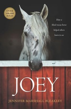 Picture of Joey