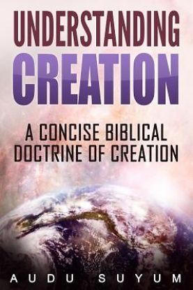 Picture of Understanding Creation