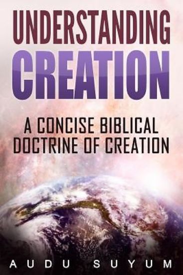 Picture of Understanding Creation