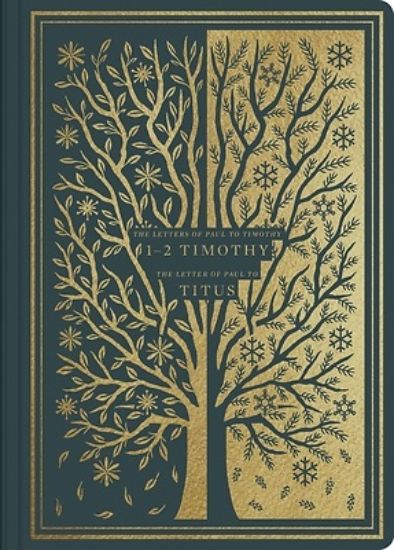 Picture of ESV Illuminated Scripture Journal