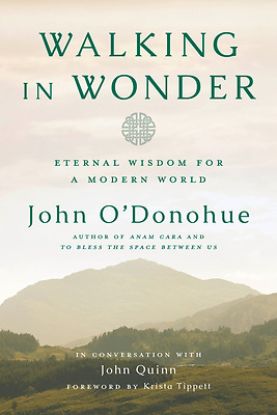 Picture of Walking in Wonder