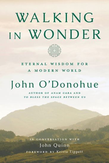 Picture of Walking in Wonder