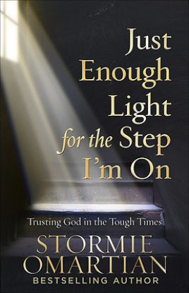Picture of Just Enough Light for the Step I'm on
