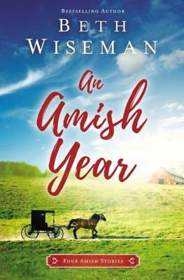 Picture of An Amish Year