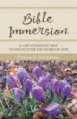 Picture of Bible Immersion