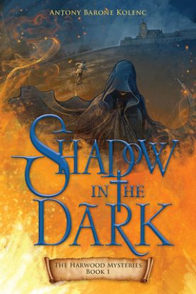 Picture of Shadow in the Dark