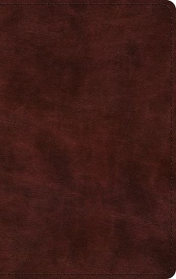 Picture of ESV Large Print Thinline Bible (Trutone, Mahogany)