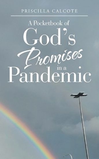 Picture of A Pocketbook of God's Promises in a Pandemic
