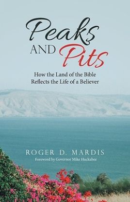 Picture of Peaks and Pits