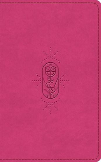 Picture of ESV Kid's Bible, Thinline (Trutone, Berry, the True Vine Design)