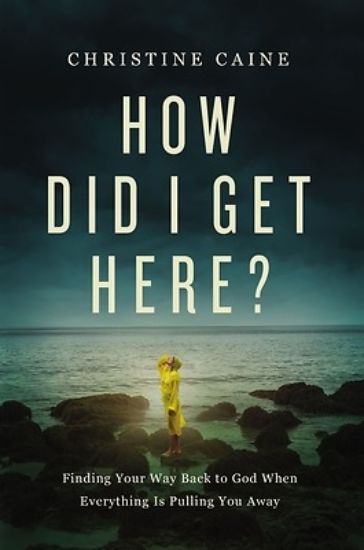 Picture of How Did I Get Here?