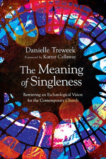 Picture of The Meaning of Singleness