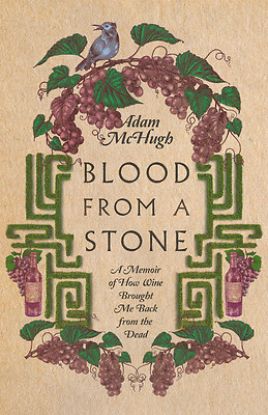 Picture of Blood from a Stone