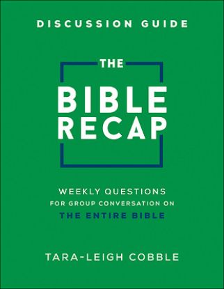 Picture of The Bible Recap Discussion Guide