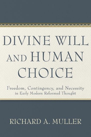 Picture of Divine Will and Human Choice