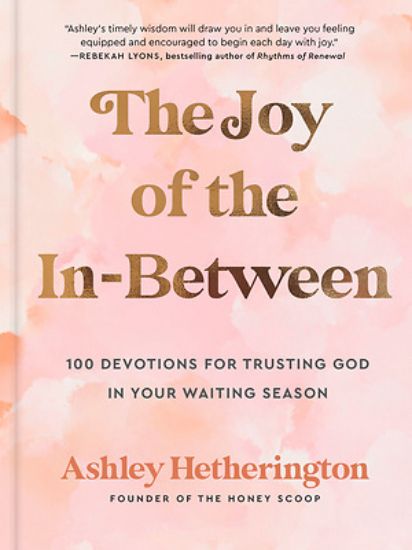 Picture of The Joy of the In-Between