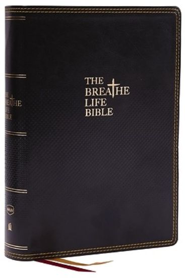 Picture of The Breathe Life Holy Bible