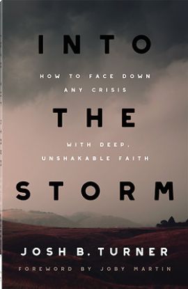 Picture of Into the Storm