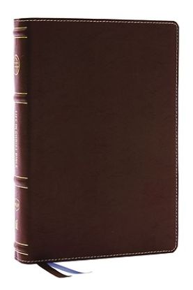 Picture of Life in Christ Bible