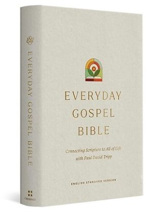 Picture of ESV Everyday Gospel Bible