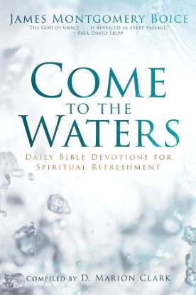 Picture of Come to the Waters