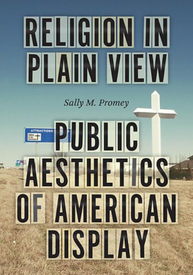 Picture of Religion in Plain View