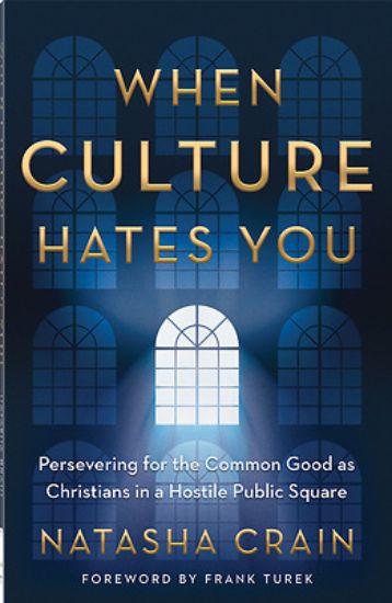 Picture of When Culture Hates You