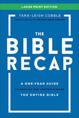 Picture of The Bible Recap Large Print Edition