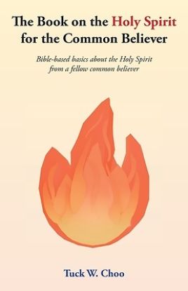 Picture of The Book on the Holy Spirit for the Common Believer