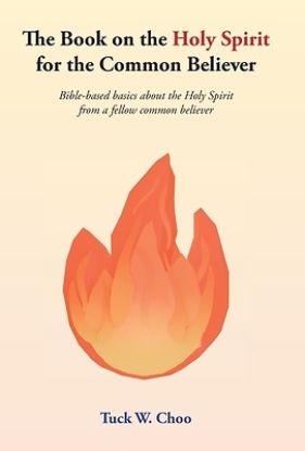 Picture of The Book on the Holy Spirit for the Common Believer